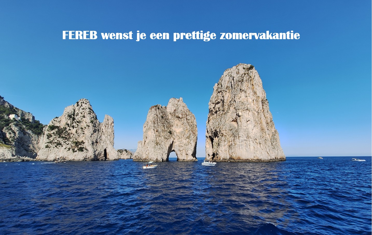 Fereb summer 2025 NL